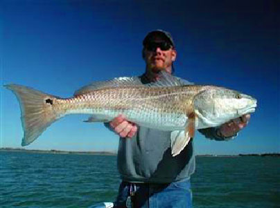 Professional Fising Guide Capt. Ron Hipner